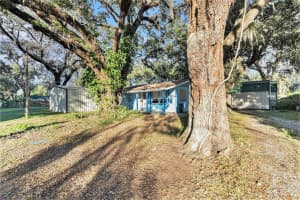 1704 BARGO STREET, PLANT CITY, FL 33563 Sold 12/30/24
