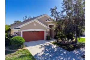 13618 ARTESA BELL DRIVE, RIVERVIEW, FL 33579 Sold 02/24/25
