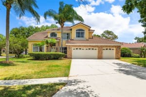 17956 HOLLY BROOK DRIVE, TAMPA, FL 33647 Sold 04/07/25