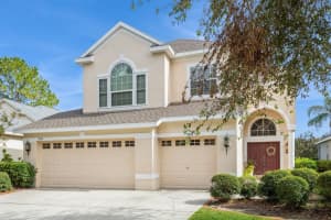 17929 TIMBER VIEW STREET, TAMPA, FL 33647 Sold 05/19/25