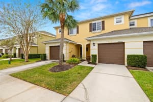 20476 NEEDLETREE DRIVE, TAMPA, FL 33647 Sold 12/27/24