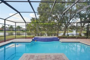 3921 MIMOSA PLACE, PALM HARBOR, FL 34685 Sold 06/16/25