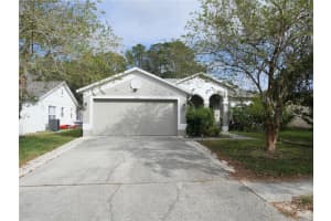 13112 ROYAL GEORGE AVENUE, ODESSA, FL 33556 Sold 03/21/25