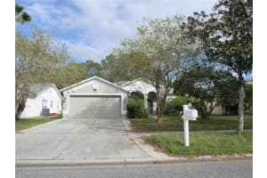 13112 ROYAL GEORGE AVENUE, ODESSA, FL 33556 Sold 03/21/25