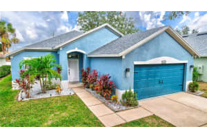 11102 LAUREL BROOK COURT, RIVERVIEW, FL 33569 Sold 12/27/24
