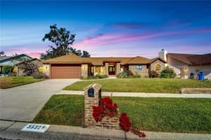 3537 SPRINGVILLE DRIVE, VALRICO, FL 33596 Sold 12/23/24