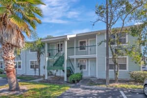 5004 TERRACE PALMS CIRCLE, TAMPA, FL 33617 Sold 03/03/25