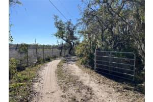 11715 RHODINE ROAD, RIVERVIEW, FL 33579 Sold 12/13/24
