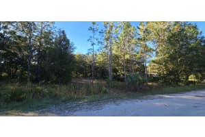 7784 TWIN CANAL LANE, HOMOSASSA, FL 34448 - MLS#MFRTB8323870