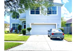 11217 Avery Oaks Dr, TAMPA