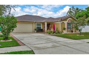 5910 TAYWOOD DRIVE, TAMPA, FL 33624 Sold 02/25/25