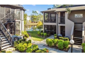 4006 ANGEL OAK COURT, TAMPA, FL 33613 Sold 12/18/24