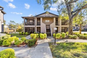 4006 ANGEL OAK COURT, TAMPA, FL 33613 Sold 12/18/24