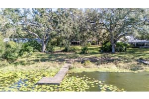 11708 FOREST HILLS DRIVE, TAMPA, FL 33612 Sold 03/18/25