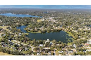 11708 FOREST HILLS DRIVE, TAMPA, FL 33612 Sold 03/18/25