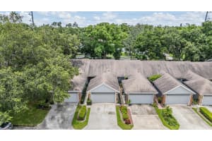 1731 CASTLE ROCK ROAD, TAMPA, FL 33612 Sold 12/18/24