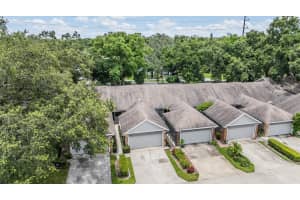 1731 CASTLE ROCK ROAD, TAMPA, FL 33612 Sold 12/18/24