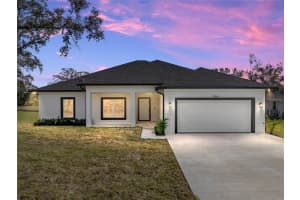 5364 Boxtree Ct, DADE CITY