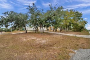 8109 MADRID ROAD, SPRING HILL, FL 34613 Sold 01/17/25