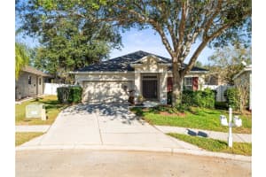 474 ROCKROSE COURT, SPRING HILL, FL 34609 Sold 02/28/25
