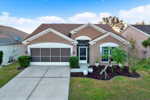 12612 Midpointe Dr, RIVERVIEW