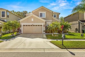17836 CUNNINGHAM COURT, LAND O LAKES, FL 34638 Sold 02/05/25