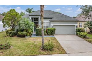 2619 ABBEY GROVE DRIVE, VALRICO, FL 33594 Sold 01/09/25