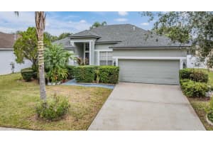 2619 ABBEY GROVE DRIVE, VALRICO, FL 33594 Sold 01/09/25