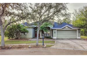 19329 AUTUMN WOODS AVENUE, TAMPA, FL 33647 Sold 02/03/25