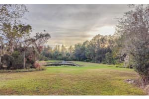 19329 AUTUMN WOODS AVENUE, TAMPA, FL 33647 Sold 02/03/25