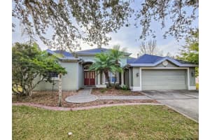 19329 AUTUMN WOODS AVENUE, TAMPA, FL 33647 Sold 02/03/25
