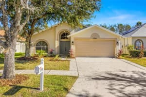 27500 SKY LAKE CIRCLE, WESLEY CHAPEL, FL 33544 Sold 01/21/25