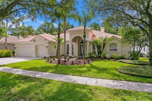 16313 HEATHROW DRIVE, TAMPA, FL 33647 Sold 01/03/25