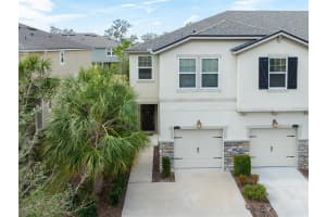 10219 NEWEL VALLEY LOOP, RIVERVIEW, FL 33569 Sold 04/21/25
