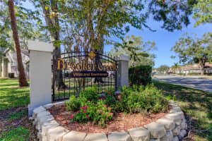4331 BROOKER CREEK DRIVE, PALM HARBOR, FL 34685 Sold 02/11/25
