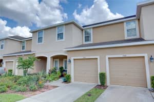 7064 TOWNE LAKE ROAD, RIVERVIEW, FL 33578 Sold 01/14/25