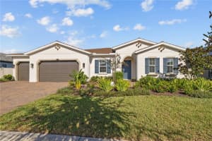 29027 PICANA LANE, WESLEY CHAPEL, FL 33543 Sold 04/10/25