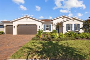 29027 PICANA LANE, WESLEY CHAPEL, FL 33543 Sold 04/10/25