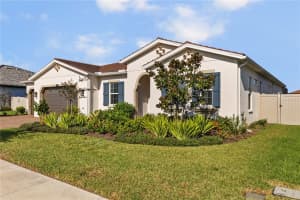 29027 PICANA LANE, WESLEY CHAPEL, FL 33543 Sold 04/10/25