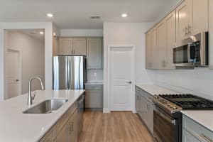 10254 SURREY ROSE DRIVE, SAN ANTONIO, FL 33576 Sold 03/17/25