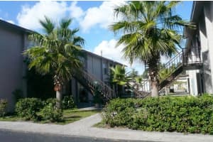 1323 BAYWATCH LOOP, TAMPA, FL 33612 - MLS#MFRTB8325370