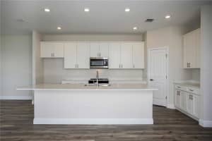 10272 SURREY ROSE DRIVE, SAN ANTONIO, FL 33576 Sold 03/03/25