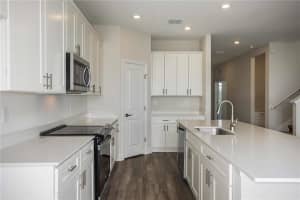 10292 FIELDSTONE MYRTLE WAY, SAN ANTONIO, FL 33576 Sold 03/27/25