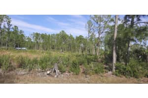 MLS# MFRTB8325422, Indian Lake Estates, Florida 33855
