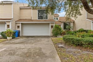 4111 STARFISH LANE, TAMPA, FL 33615 Sold 03/24/25