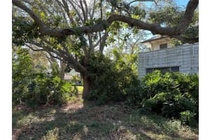 1667 SERPENTINE DRIVE, SAINT PETERSBURG, FL 33712 Sold 01/09/25
