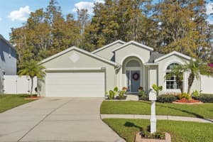 4732 WOLFRAM LANE, NEW PORT RICHEY, FL 34653 Sold 01/30/25