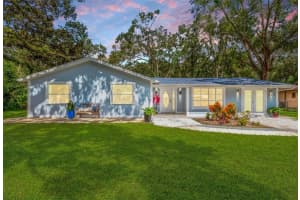 302 137TH AVENUE, TAMPA, FL 33613 Sold 04/08/25