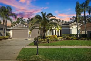 11927 MIDDLEBURY DRIVE, TAMPA, FL 33626 Sold 01/08/25