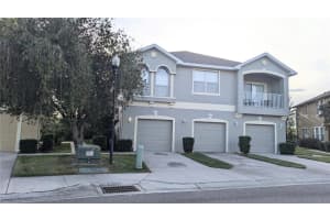 9060 Moonlit Meadows Loop, RIVERVIEW